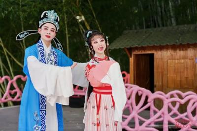 秦腔黄梅南北同台  12天好戏连连！