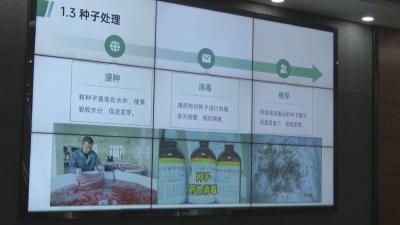 黄州农艺师走进黄冈中学讲坛  开启农业科技“启蒙课”
