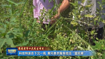 聚焦省市十大民生项目丨 科技特派员下沉一线 黄冈惠农服务结出“富民果”