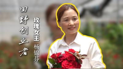 土地不会辜负汗水，家乡永远值得投资！
看“云南花海女王”杨锦芬，放弃百万收入回乡种玫瑰的创业故事