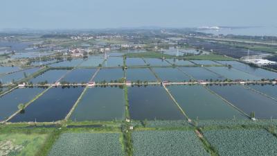 绿色发展的黄冈答卷丨浠水策湖国家湿地公园：危房变新居 湿地焕新颜