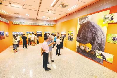 用影像勾勒新时代长江精神图谱 ——“影动长江”全国主题摄影大展揭幕