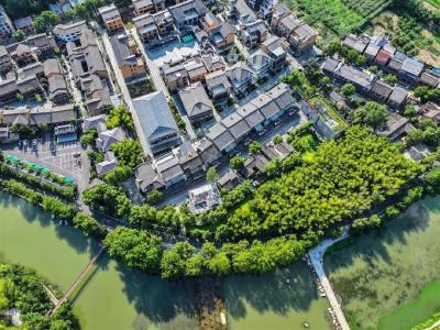 艺术之美，要融入乡村肌理（新语）