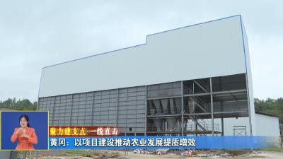 聚力建支点 一线直击｜黄冈：以项目建设推动农业发展提质增效