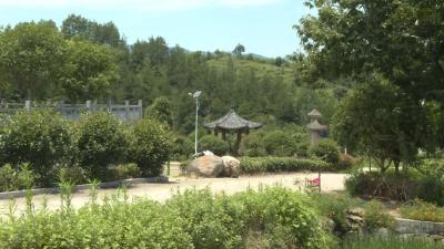 英山县石头咀镇 “美丽乡村+特色产业”点燃乡村振兴“双引擎”
