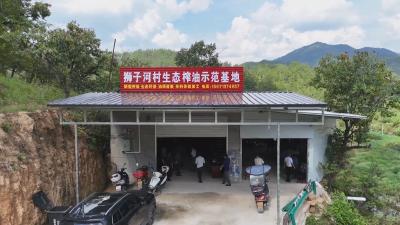 经济微观察 发展惠民生丨罗田：村办“小油坊”榨出乡村振兴的新希望