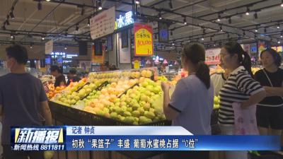 经济微观察｜初秋“果篮子”丰盛 葡萄水蜜桃占据“C位”