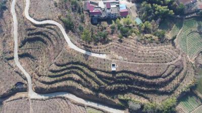 绘就乡村振兴新图景 ——省国动办工作队深耕驻点帮扶的生动实践
