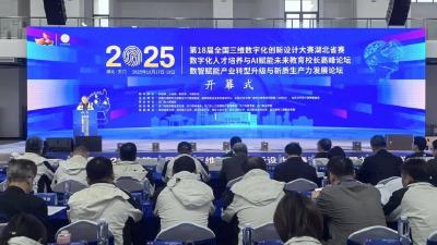 全国3D大赛湖北省赛聚焦前沿科技实践应用