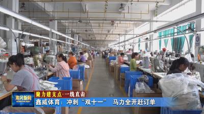 聚力建支点 一线直击｜ 鑫威体育：冲刺“双十一” 马力全开赶订单