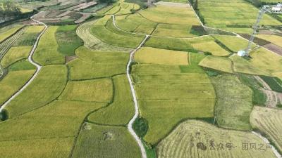 从“拎机投产”到“整梯制造”  淋山河镇盘活闲置资产跑出加速度