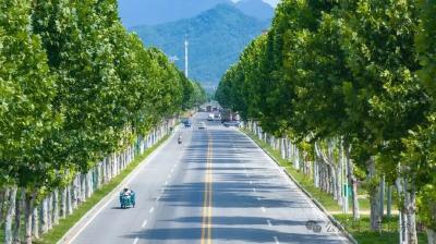 前4月全国新改建农村公路1.6万公里