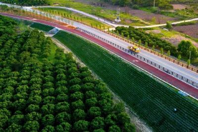 10月30日 早！黄冈 | 这两宗土地挂牌出让 ◆速看！黄冈半马道路交通管控公告