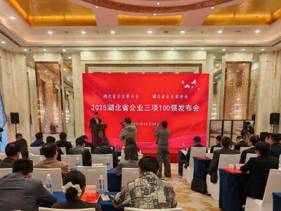 2025湖北企业100强榜单发布 门槛升至86亿元 中建三局领跑