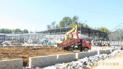 向“特”而行 罗田将建成大别山兰花特色农业示范基地