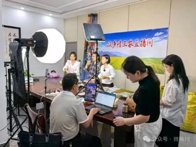 梅川镇一批农民变身电商直播带货达人