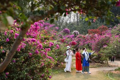 避寒康养需求增加 银发族“候鸟”开启秋冬旅居