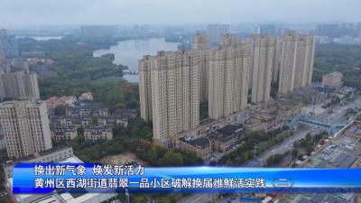 换出新气象  焕发新活力黄州区西湖街道翡翠一品小区破解换届难鲜活实践（二）
