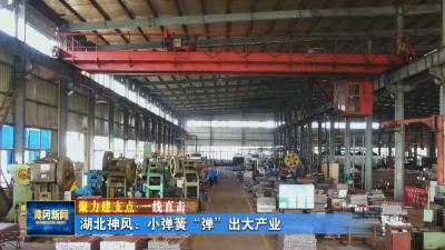 聚力建支点 一线直击｜ 湖北神风：小弹簧“弹”出大产业