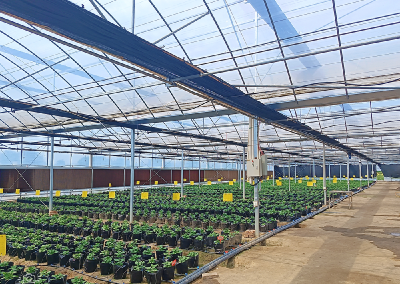 我市新增6个省优质农产品生产基地