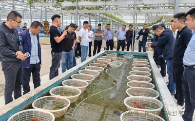 我市开展“三维一体”高素质农民培育培训