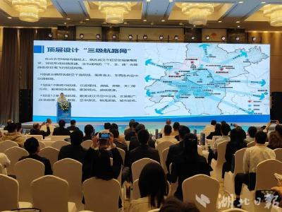 麻城入列武汉低空航线 抢滩低空经济新蓝海