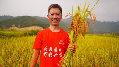 黄冈农科院9个项目获2026年湖北省自然科学基金立项