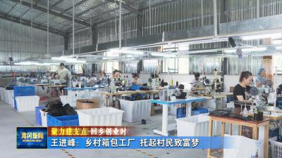 聚力建支点 回乡创业时丨 王进峰：乡村箱包工厂 托起村民致富梦