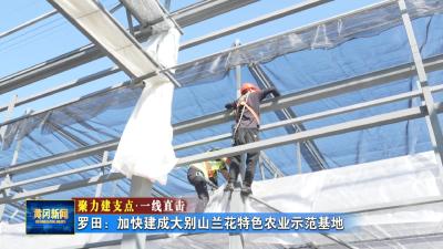 聚力建支点 一线直击｜ 罗田：加快建成大别山兰花特色农业示范基地