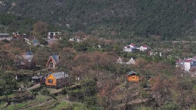 经济微观察 发展惠民生｜罗田：打造特色文旅IP 讲好“甜柿”新故事