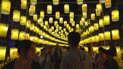 遇见黄州·从此东坡丨 “东坡千灯之夜”游园灯会缤纷盛放