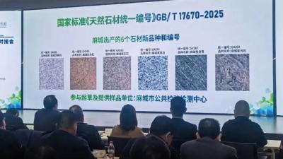麻城时隔26年再添国标品种 6种石材获“国家级身份证”