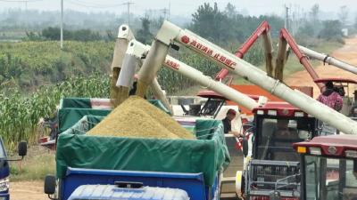 万丈湖街道：2.3万亩虾稻田喜迎丰收