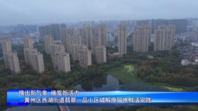 换出新气象 焕发新活力 --黄州区西湖街道翡翠一品小区破解换届难鲜活实践（一）