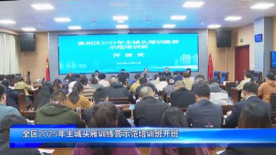 全区2025 年主城头雁训练营示范培训班开班
