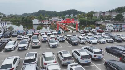 经济微观察 发展惠民生｜ 国庆期间我市各地乡村游持续升温