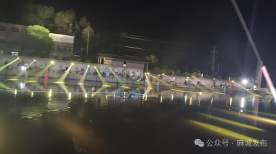 菊香漫到渔火里！麻城这个镇藏着 “日夜双景”~