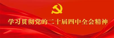 接续奋斗，确保基本实现社会主义现代化取得决定性进展 ——论学习贯彻党的二十届四中全会精神