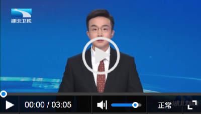 智涌荆楚 赋新未来丨湖北加快打造全国人工智能产业发展新高地