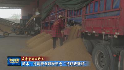 在希望的田野上｜ 浠水：打响粮食颗粒归仓“抢烘攻坚战”