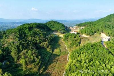 国庆爆满 浠水梓木山庄“山水生金”记