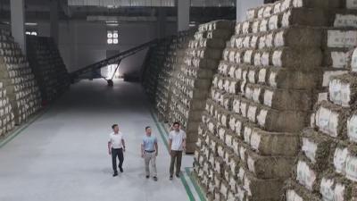 聚焦干部素质提升年｜蕲春：产业升级当先锋 为民解难做表率