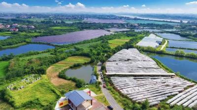 黄州区加快推进杨南线改造工程建设