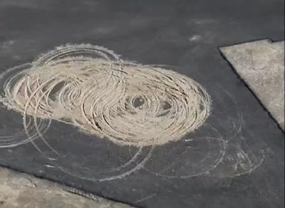 “为人民服务”的航标地，哪能成为漂移撒欢的娱乐场！