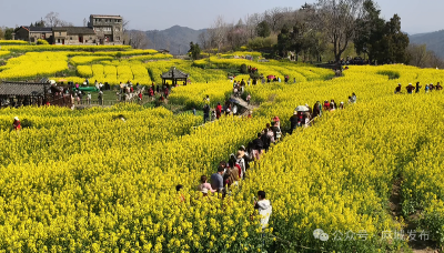 英山县南河镇驻村干部陈云峰积极服务村民——用镜头架起二份塆村“云端”振兴路