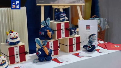 “十四五”时期我国非遗保护成果突出——现有非遗保护机构2397个、从业人员1.7万余人