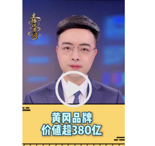 黄冈品牌  价值超380亿