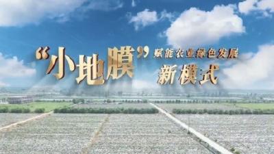 “小地膜”赋能农业绿色发展新模式