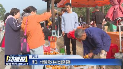 经济微观察｜罗田：小甜柿带火乡村文旅消费潮