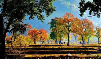 我市两地入选全国 “四季村晚”示范展示点